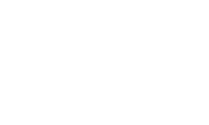 Klevu-logo-white