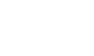 vericast-logo-white
